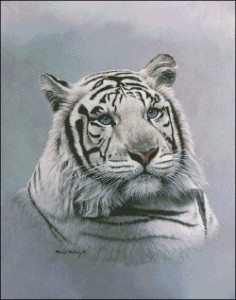 Схема Белый тигр
