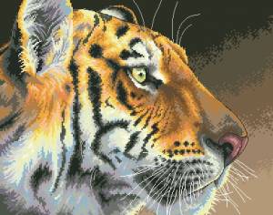 Схема Тигр (Regal Tiger)