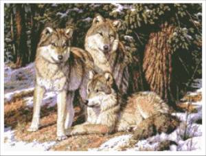 Схема Волки в лесу