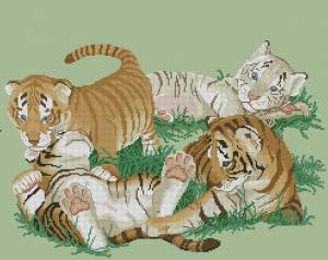 Схема Тигрята