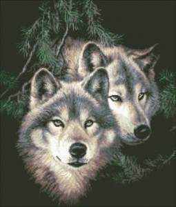 Схема Два волка