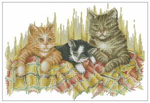 Схема Коты в одеяле