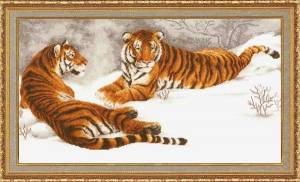 Схема Амурские тигры