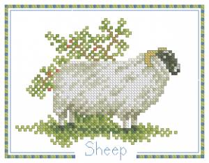 Схема Овца