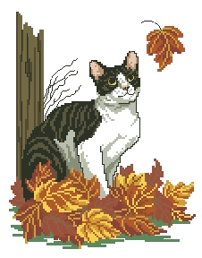 Схема Осенняя кошка
