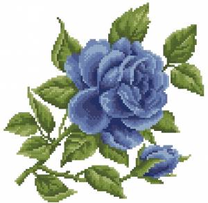 Схема Роза голубая