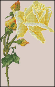 Схема Жёлтая роза