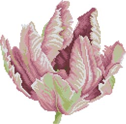 Схема Тюльпан / Tulip