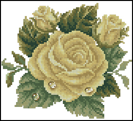 Схема Желтая роза с каплями росы