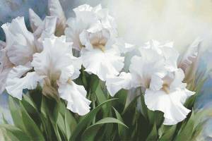 Схема Белые ирисы / White Irise Elegance