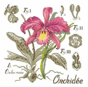 Схема Орхидея