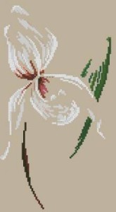 Схема Нежная орхидея