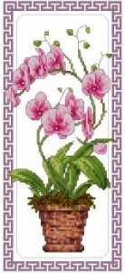 Схема Китай Орхидея / China Orchid Falenopsis