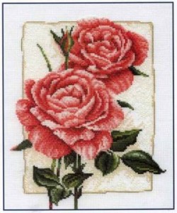 Схема Розы в цвету / Cottage Rose in Bloom