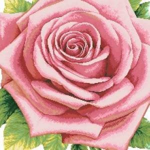 Схема Розовая роза