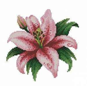 Схема Розовая лилия с капелькой росы