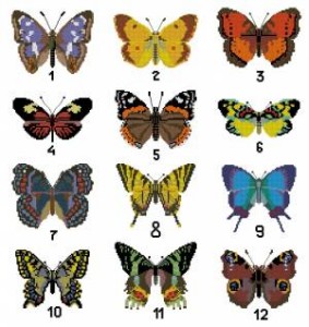 Схема 12 бабочек / Fluturi Susanna