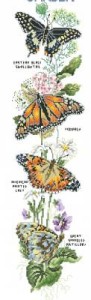 Схема Садовые бабочки / Garden butterfly