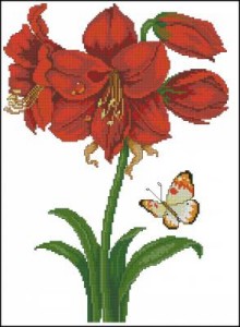 Схема Амариллис красный с бабочкой