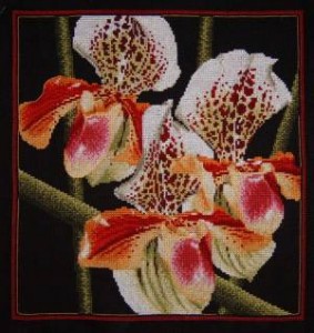 Схема Орхидея / Paphiopedilum