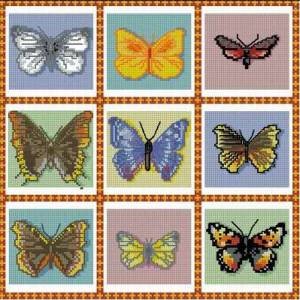 Схема Коллекция бабочек