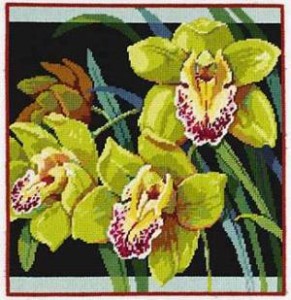 Схема Пестрые орхидеи