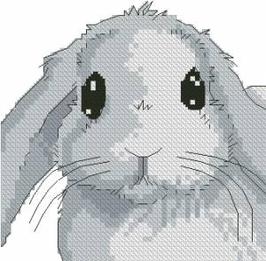 Схема Кролик