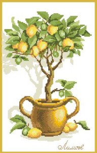 Схема Лимонное дерево