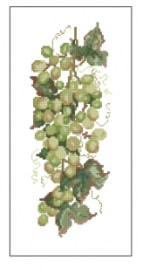 Схема Белый виноград