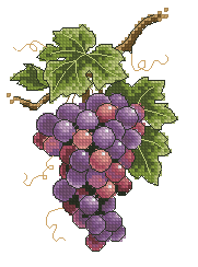 Схема Виноград на лозе