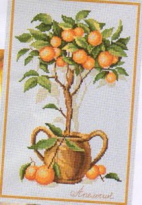 Схема Апельсиновое дерево