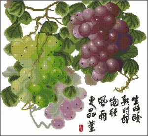 Схема Разноцветный виноград