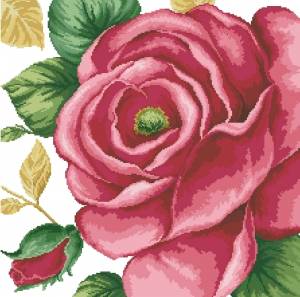 Схема Большая розовая роза
