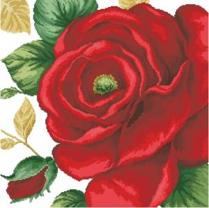 Схема Большая красная роза