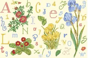 Схема Алфавит и цветы
