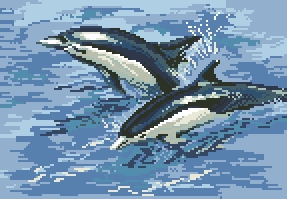 Схема Море. Дельфины