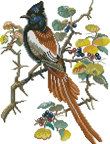 Схема Птица на ягодной ветке