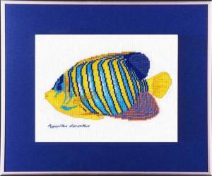 Схема Цветная рыбка желто-голубая