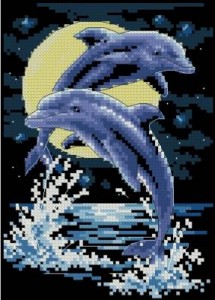 Схема Дельфины при луне