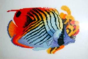 Схема Цветная рыбка