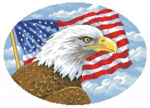Схема Орел свободы (США)