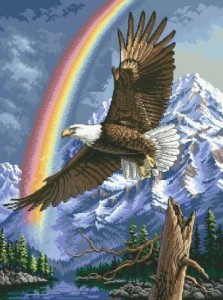 Схема Белоголовый орлан / Bald Eagle