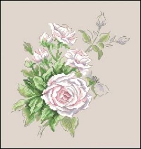Схема Роза белая