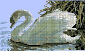 Схема Лебедь