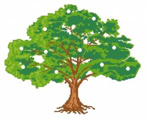Схема Денежное дерево