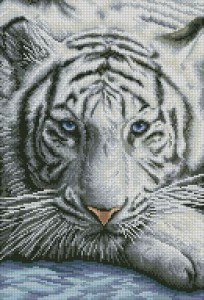 Схема Белый тигр