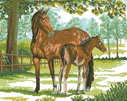 Схема Лошадь с жеребенком у пастбища