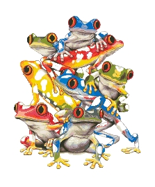 Схема Цветные лягушки