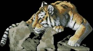 Схема Тигр на скале / Tiger on the Rock