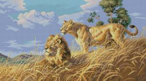Схема Африканские львы